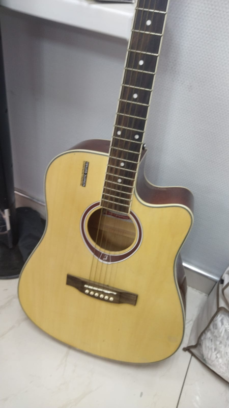 ГИТАРА Jamis DG-100NTG